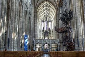 Grote klopkever / bonte knaagkever interieur Sint Pieterskerk te Leuven